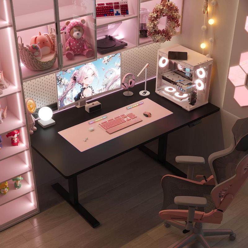 플렉시스팟 전동 스탠딩 데스크, 블랙 |   듀얼 모터 - Desk Setup Dual Monitor 리뷰 및 가격